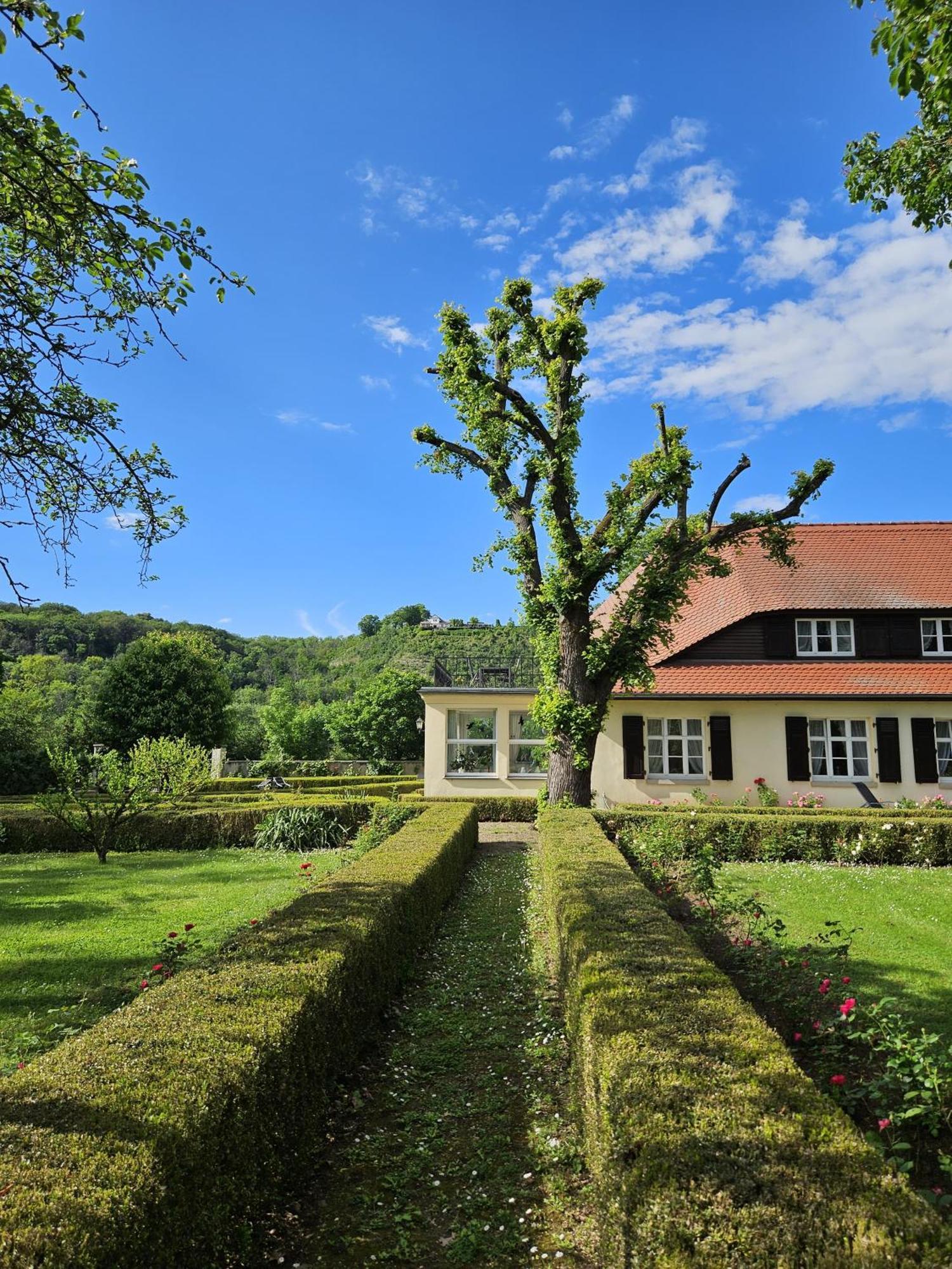 Landhaus Saaleck Naumburg  Zewnętrze zdjęcie